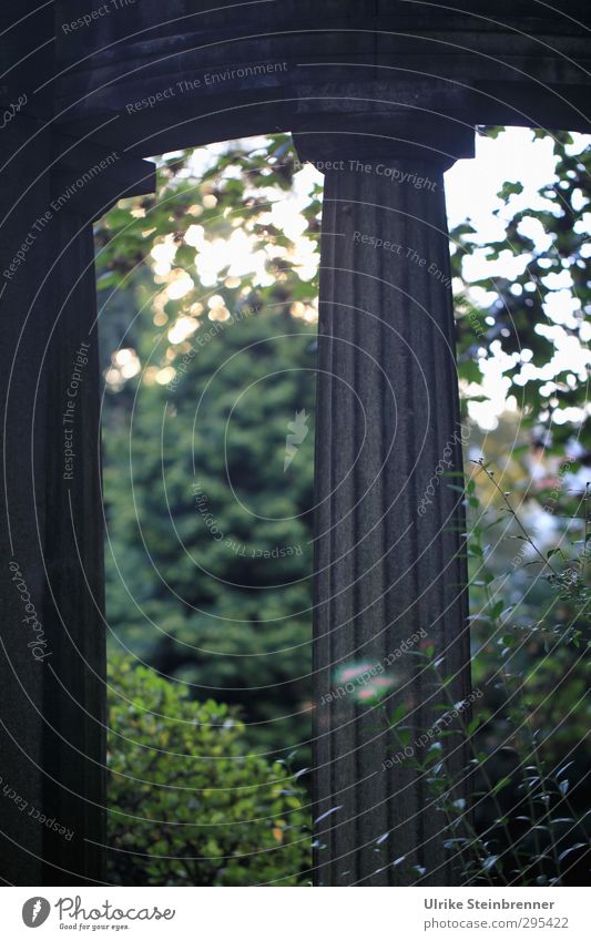 Alte Grabsteine - Tristesse Tourismus Städtereise Trauerfeier Beerdigung Kunstwerk Skulptur Architektur Stadt Park Bauwerk Fassade Denkmal Stein stehen dunkel