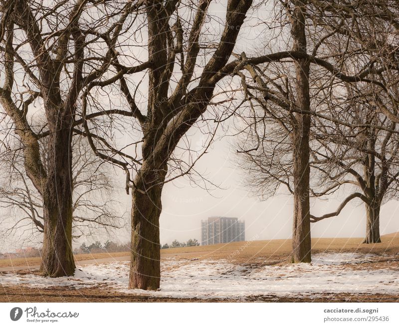 outside the city Landschaft Winter Schnee Baum Park Wiese Hügel Stadtrand Hochhaus bedrohlich dunkel oben trist braun Langeweile Einsamkeit Zukunftsangst