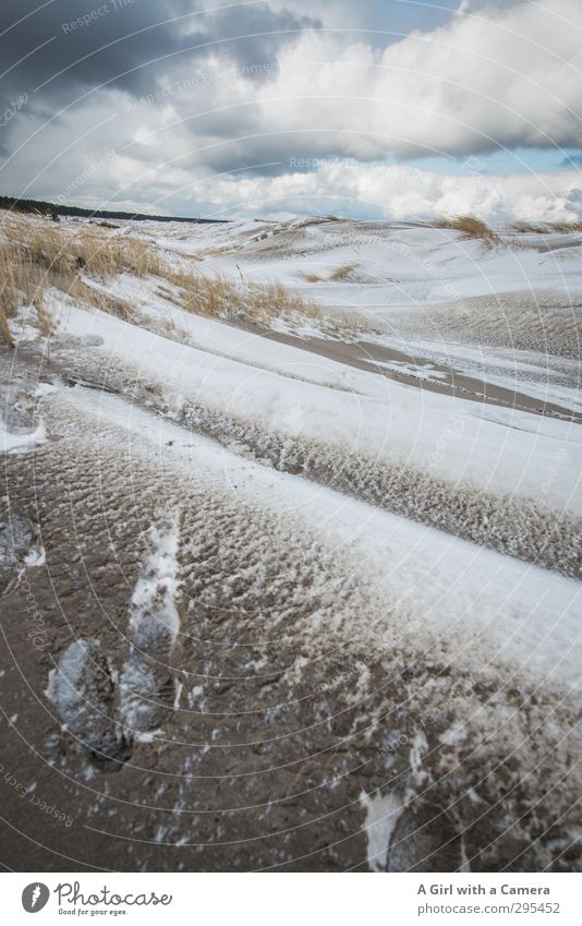 fast zu kalt um wahr zu sein Umwelt Natur Landschaft Urelemente Sand Himmel Wolken Winter Klima Wetter schlechtes Wetter Wind Eis Frost Schnee Küste Strand