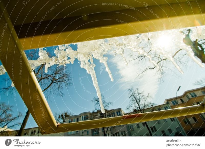 Eiszapfen Frost kalt Schnee Schneedecke wallroth Wetter Winter Winterlicht Tauwetter tauen Sonne Gegenlicht Baum Himmel Tag hell Metall Stab gestänge