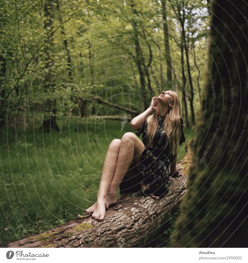 Junge Frau in Sommerkleid barfuß auf einem Baumstamm im Wald Stil schön Leben harmonisch Jugendliche Beine 18-30 Jahre Erwachsene Natur Landschaft Frühling