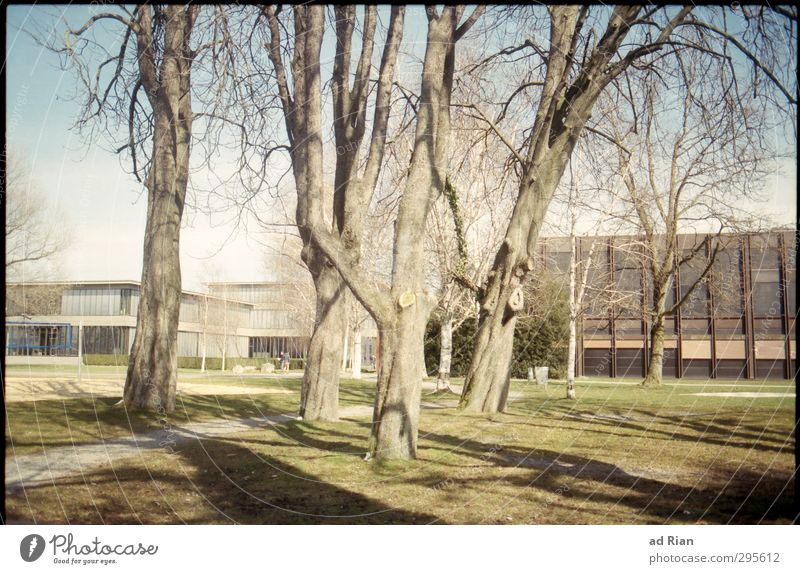 was bleibt, ist die Veränderung. Winter Schönes Wetter Baum Gras Park Wiese bevölkert Haus Platz Bauwerk Gebäude Architektur Fassade Fußgänger verblüht warten