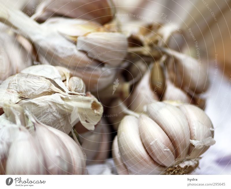 Marktbeobachtung: Knoblauch Lebensmittel Gemüse Kräuter & Gewürze Knoblauchknolle Knoblauchzehe Ernährung Essen Bioprodukte Vegetarische Ernährung Slowfood