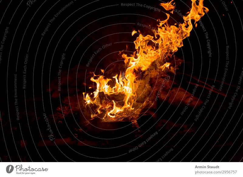 Feuer Lifestyle Leben harmonisch Wohlgefühl Freizeit & Hobby Natur Urelemente Wärme Holz bedrohlich heiß orange schwarz gefährlich Abenteuer Flamme brennen