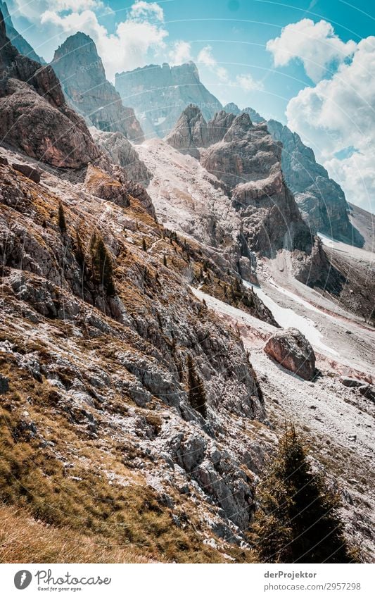 Sonne in den Dolomiten Ferien & Urlaub & Reisen Tourismus Ausflug Abenteuer Ferne Freiheit Berge u. Gebirge wandern Umwelt Natur Landschaft Pflanze Sommer