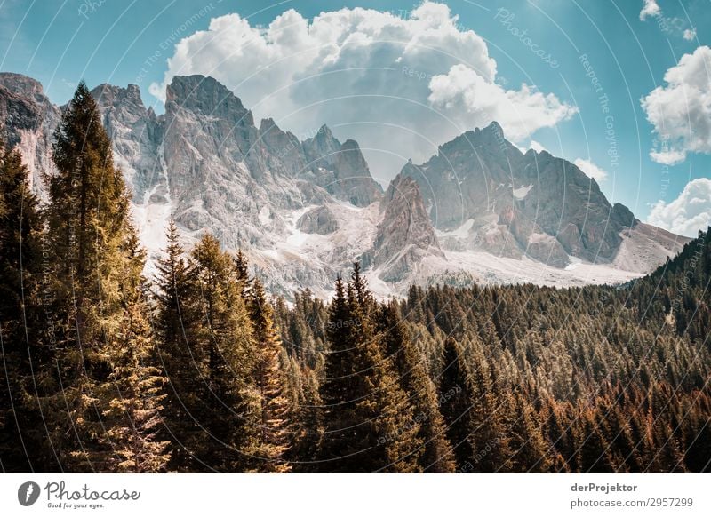 Dolomiten mit Bäumen im Vordergrund I Abenteuer wandern Schönes Wetter schlechtes Wetter Nebel Gipfel Sommer Landschaft Natur Umwelt Ferne Freiheit