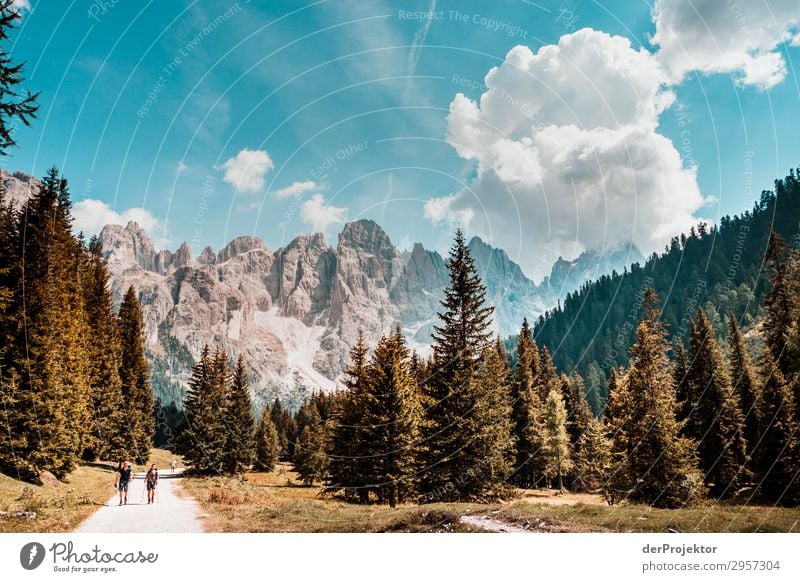 Dolomiten mit Wanderern im Vordergrund Abenteuer wandern Schönes Wetter schlechtes Wetter Nebel Gipfel Sommer Landschaft Natur Umwelt Ferne Freiheit