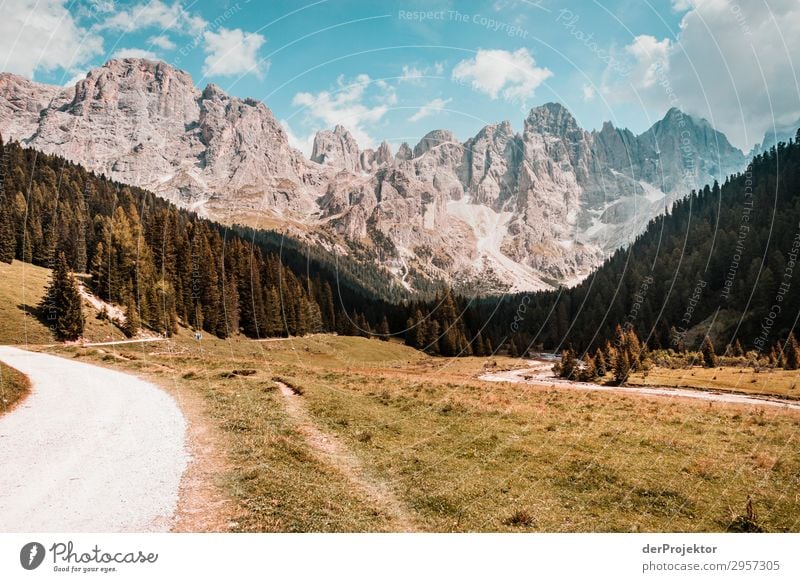 Dolomiten mit Weg im Vordergrund Abenteuer wandern Schönes Wetter schlechtes Wetter Nebel Gipfel Sommer Landschaft Natur Umwelt Ferne Freiheit Berge u. Gebirge