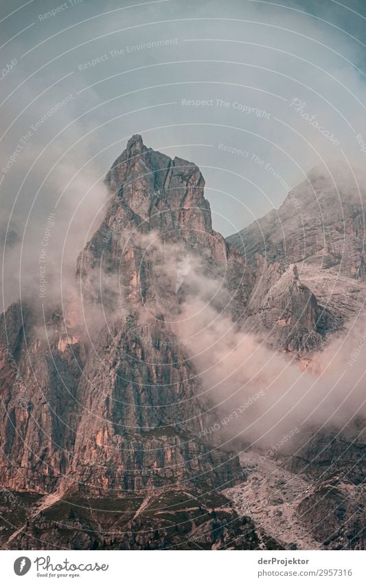 Dolomiten in den Wolken IV Abenteuer wandern Schönes Wetter schlechtes Wetter Nebel Gipfel Sommer Landschaft Natur Umwelt Ferne Freiheit Berge u. Gebirge