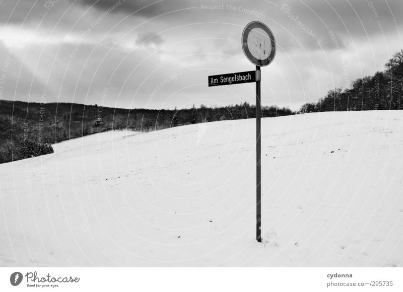 Wo lang? ruhig Ferne Freiheit wandern Umwelt Natur Landschaft Wolken Winter Eis Frost Schnee Wiese Wald Hügel Verkehrszeichen Verkehrsschild ästhetisch