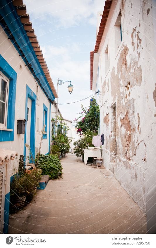 Gasse Ferien & Urlaub & Reisen Sommer Sommerurlaub Kleinstadt Menschenleer Haus Mauer Wand Fassade alt Zukunftsangst Armut Portugal baufällig Wirtschaftskrise