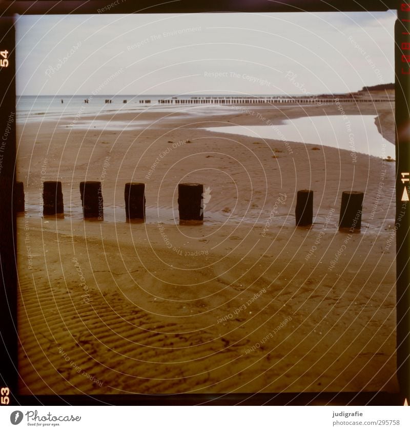 Ostsee Umwelt Natur Landschaft Klima Strand Darß Prerow kalt natürlich braun Holzpfahl Küste Farbfoto Außenaufnahme Menschenleer Tag