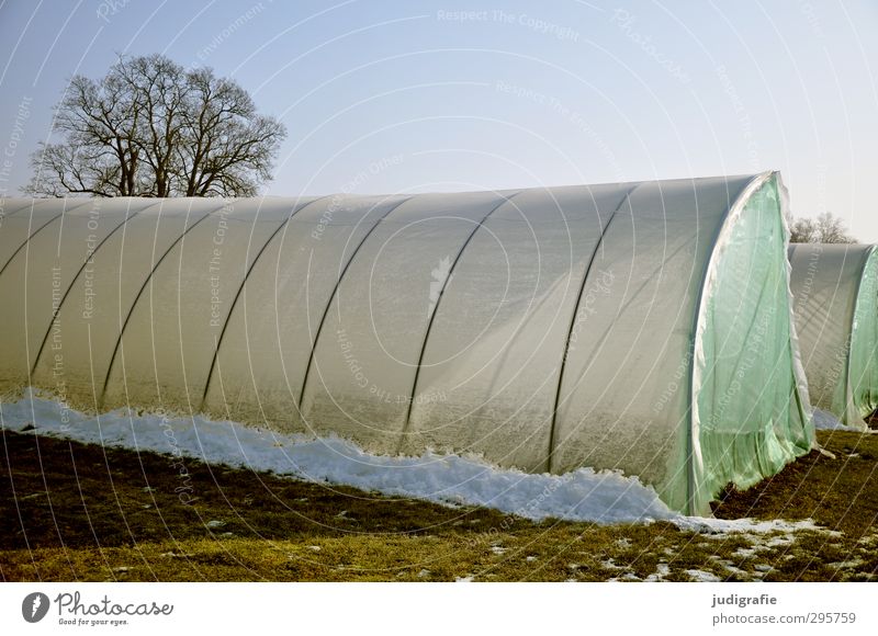 Dann pflanzen wir eben drinnen ... Umwelt Natur Himmel Winter Klima Eis Frost Schnee Baum Garten Feld kalt Gewächshaus Farbfoto Außenaufnahme Menschenleer