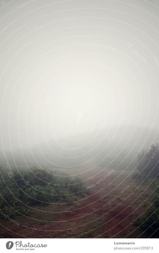 300 | Weiterreise Umwelt Natur Landschaft Himmel Horizont schlechtes Wetter Nebel Hügel Berge u. Gebirge dunkel gruselig Einsamkeit geheimnisvoll