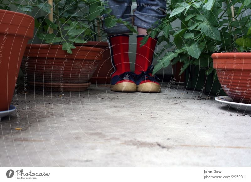 where she found her passion for gardening feminin 1 Mensch Pflanze Grünpflanze Nutzpflanze Topfpflanze Jeanshose Schuhe Stiefel grün rot Zufriedenheit Wachstum