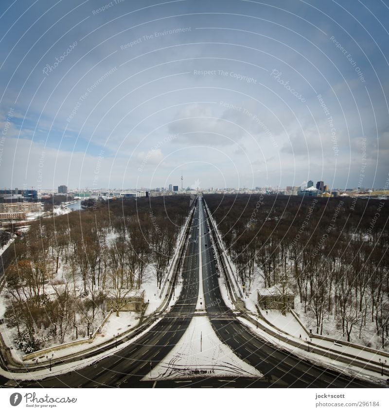 Eiszeit im Tiergarten Himmel Winter Frost Schnee Park Berliner Fernsehturm Straße des 17. Juni Verkehrswege Bekanntheit Ferne kalt trist Horizont Fluchtpunkt