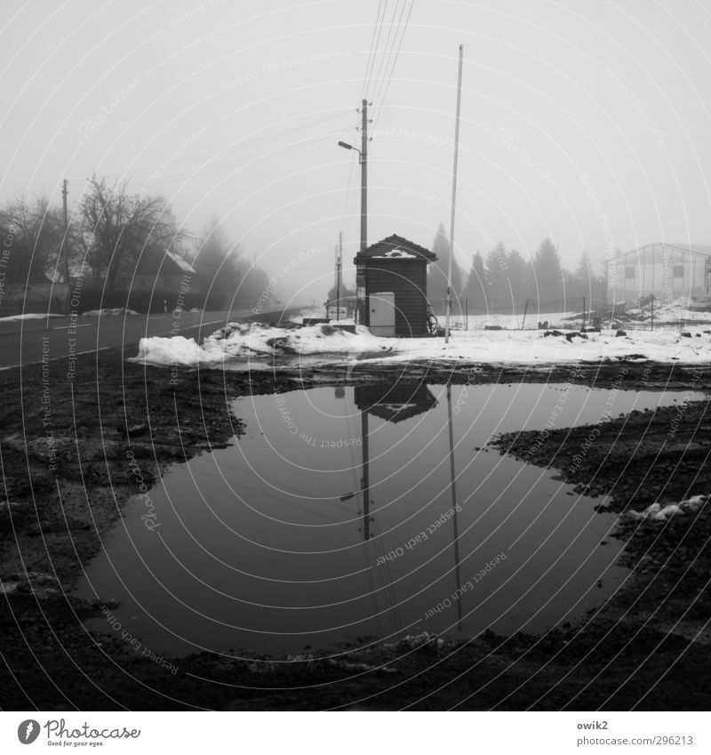 Schwarzadler Strommast Winter schlechtes Wetter Nebel Eis Frost Schnee Baum Lausitz Straße dunkel trashig trist Einsamkeit Endzeitstimmung Trauer Bushaltestelle