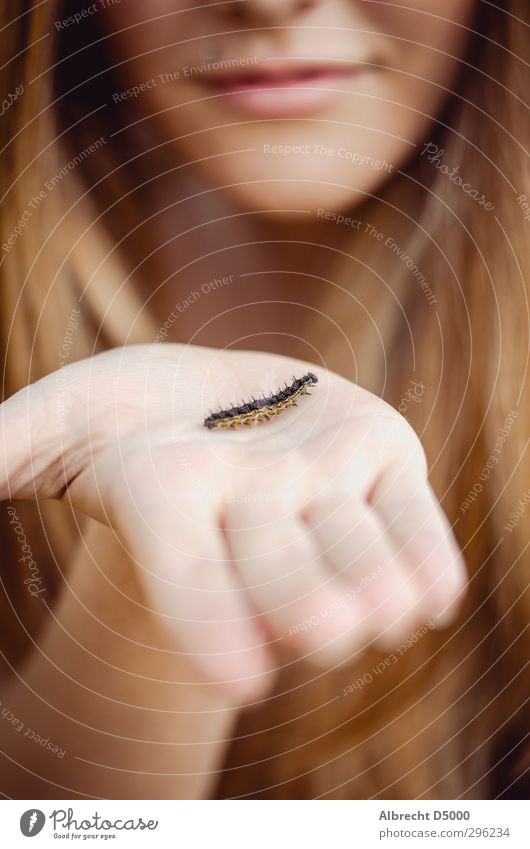 Erste Annäherung feminin Junge Frau Jugendliche Hand 1 Mensch 13-18 Jahre Kind Natur Tier Schönes Wetter brünett langhaarig Raupe beobachten berühren krabbeln