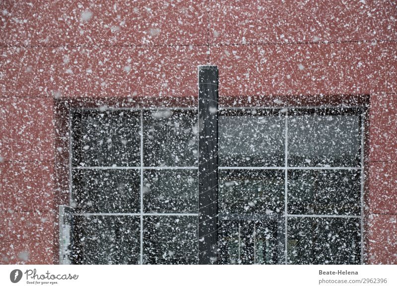 winterlicher Pointilismus Natur Winter Wetter Schneefall Saarbrücken Stadtzentrum Haus Gebäude Architektur Mauer Wand Fassade Fenster Pfosten beobachten frieren