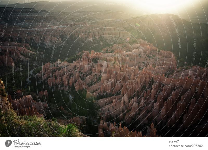 flüssiges Licht Natur Sonne Sonnenaufgang Sonnenuntergang Sonnenlicht Wald Berge u. Gebirge Schlucht braun orange Erholung Erwartung ruhig