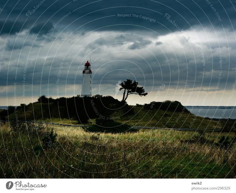 Herbst auf Hiddensee Ferien & Urlaub & Reisen Ausflug Freiheit Umwelt Natur Landschaft Pflanze Wasser Gewitterwolken Horizont Klima Wetter Schönes Wetter Gras