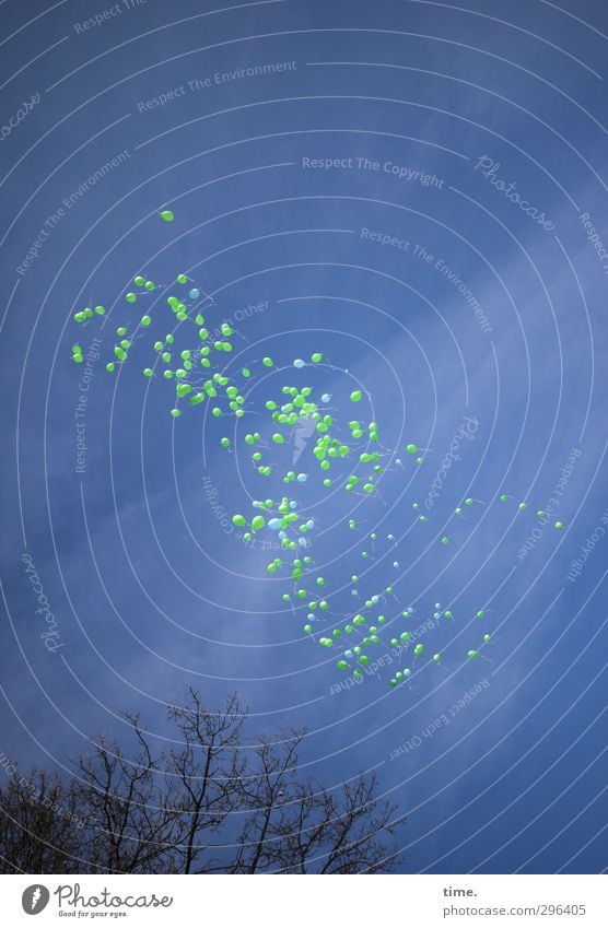 Abreise Umwelt Himmel Wolken Baum Luftballon fliegen Ferien & Urlaub & Reisen außergewöhnlich elegant Unendlichkeit lustig grün Frühlingsgefühle Begeisterung