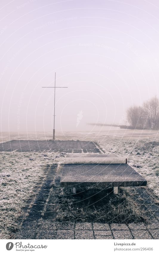 Tischtennis am Seepark Sportstätten Natur Landschaft Himmel Wolken Winter Nebel Pflanze Baum Gras Sträucher Grünpflanze Wildpflanze Seeufer Gelassenheit ruhig