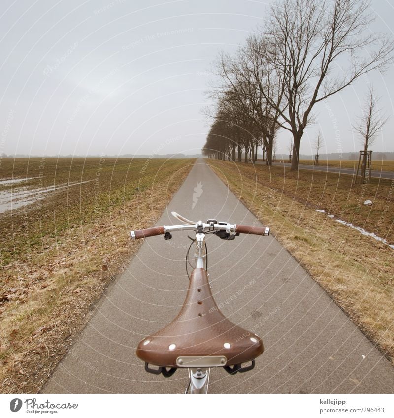 hätte, hätte, fahrradkette Lifestyle Freizeit & Hobby Umwelt Natur Landschaft Frühling Winter Klima Wetter Baum Feld Verkehr Verkehrswege Fahrradfahren Straße