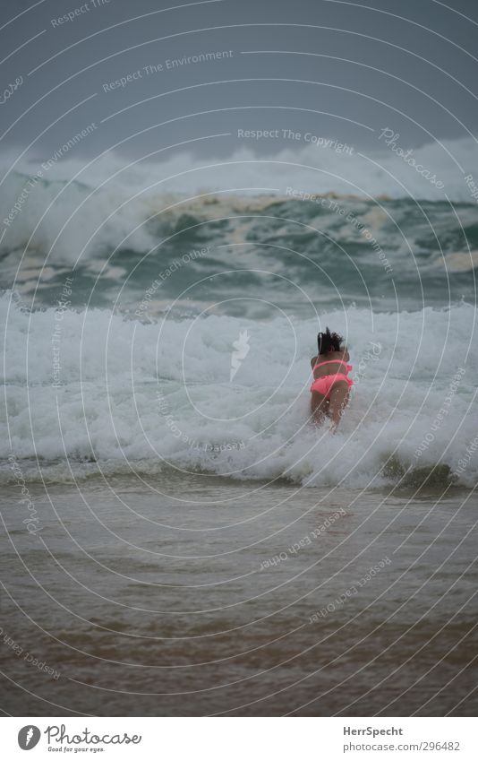 Einfach mal reinspringen Ferien & Urlaub & Reisen Sommer Strand feminin Junge Frau Jugendliche 1 Mensch 18-30 Jahre Erwachsene Natur Urelemente Sand Wasser