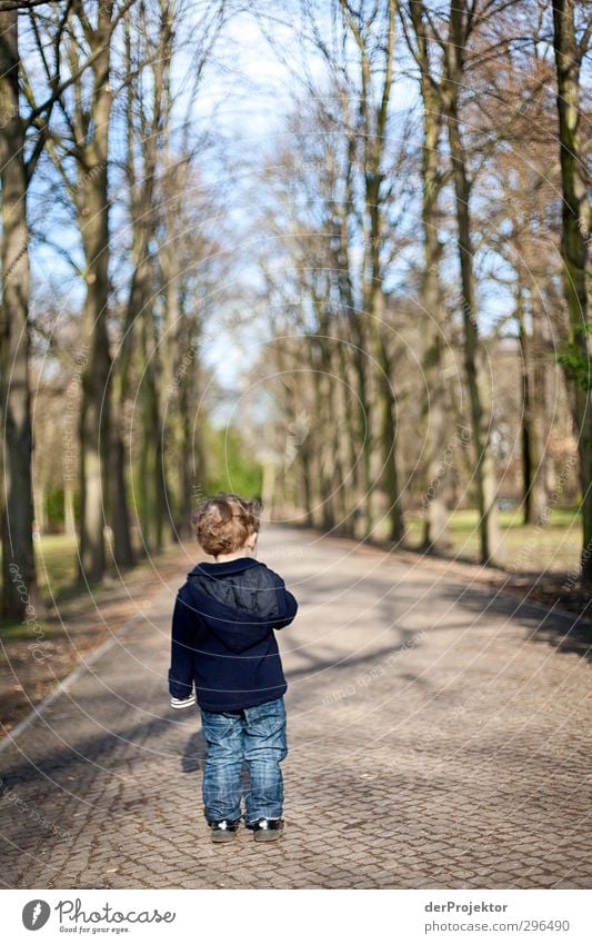 Der Weg ist lang zum Erwachsen werden Freizeit & Hobby Mensch Kleinkind Junge Kindheit 1 1-3 Jahre Umwelt Frühling Pflanze Baum Park Menschenleer