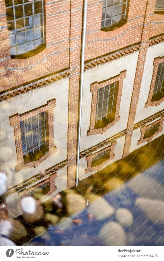 Erster Sonnentag - erste Spiegelung Urelemente Frühling Teich Stadtrand Menschenleer Haus Traumhaus Industrieanlage Bauwerk Gebäude Architektur Fassade