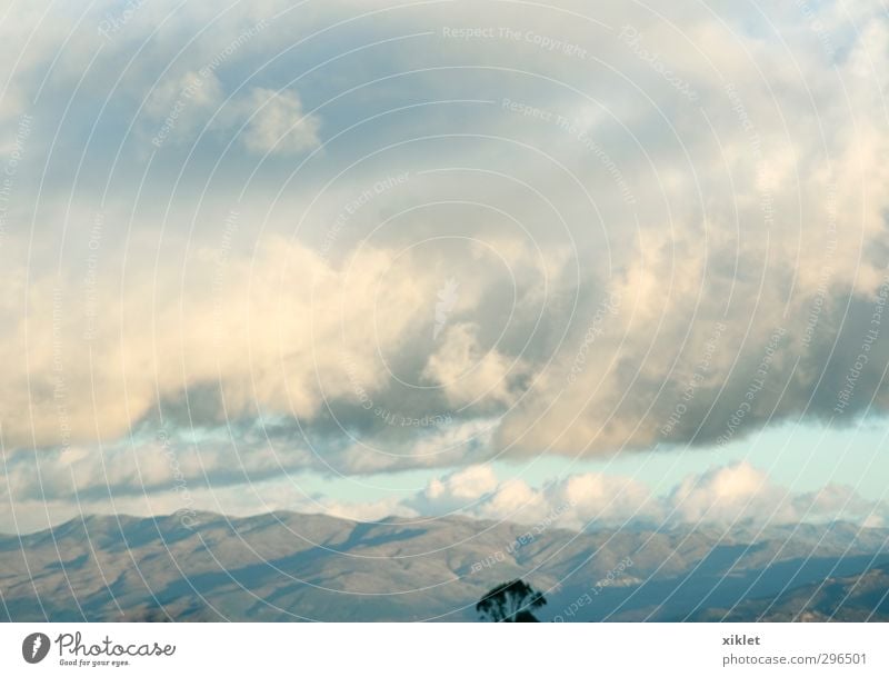 weißer Himmel Luft Wolken Gewitterwolken Schönes Wetter Unwetter Baum Hügel Berge u. Gebirge atmen frieren genießen Blick wandern exotisch frei gigantisch