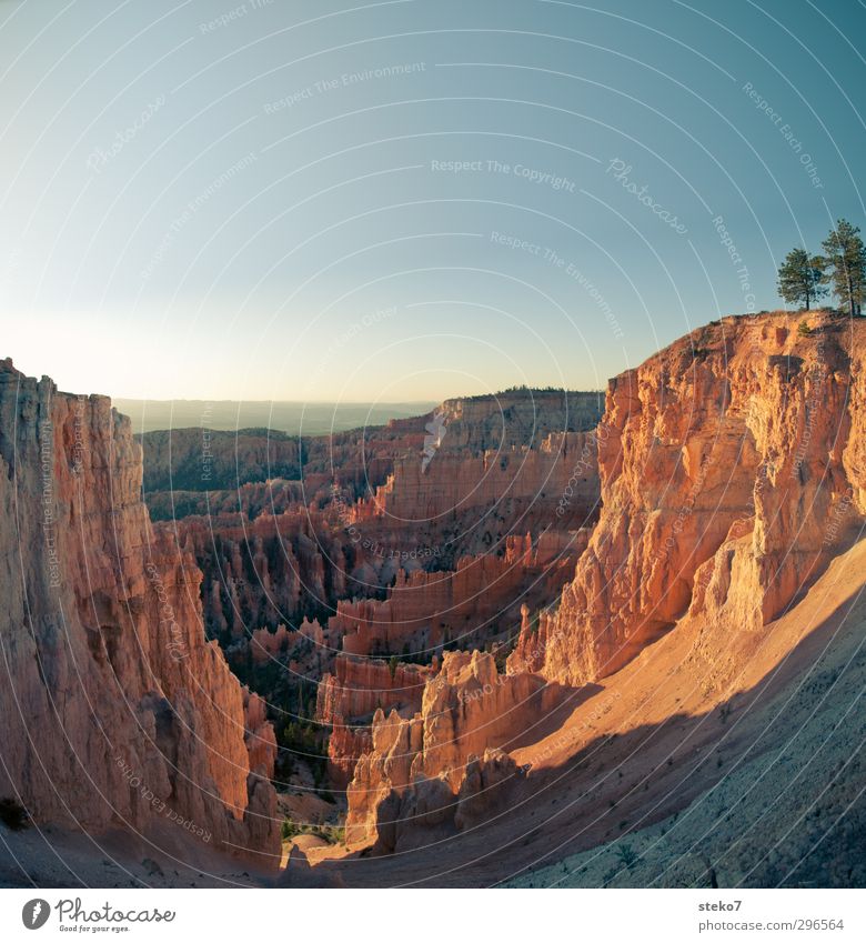 Utah morning Wolkenloser Himmel Schönes Wetter Baum Berge u. Gebirge Schlucht oben Wärme blau braun orange einzigartig Scham Bryce Canyon Farbfoto Außenaufnahme