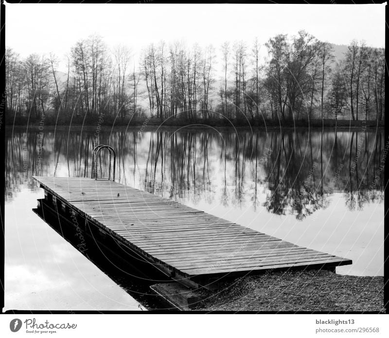 Landschaft Seeufer Erholung ruhig Sommer Schwimmen & Baden Kunst Umwelt Natur Wasser Himmel Wolkenloser Himmel Küste Flussufer Strand Bucht Gefühle Stimmung