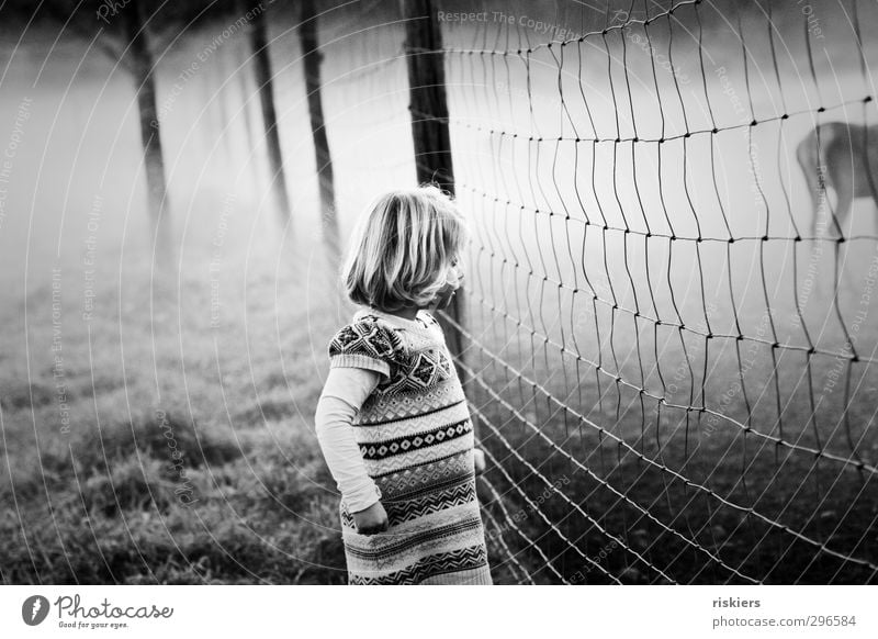 auf der anderen seite des zauns ii feminin Kind Mädchen Kindheit 1 Mensch 1-3 Jahre Kleinkind 3-8 Jahre Umwelt Tier Frühling Herbst Nebel Feld beobachten Denken