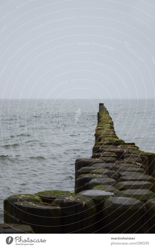 Pflasterpfähle Meer Wellen Natur Wasser Himmel Wolken Horizont Frühling Herbst schlechtes Wetter Küste Bucht Ostsee Holzpfahl Steg atmen Denken genießen Blick