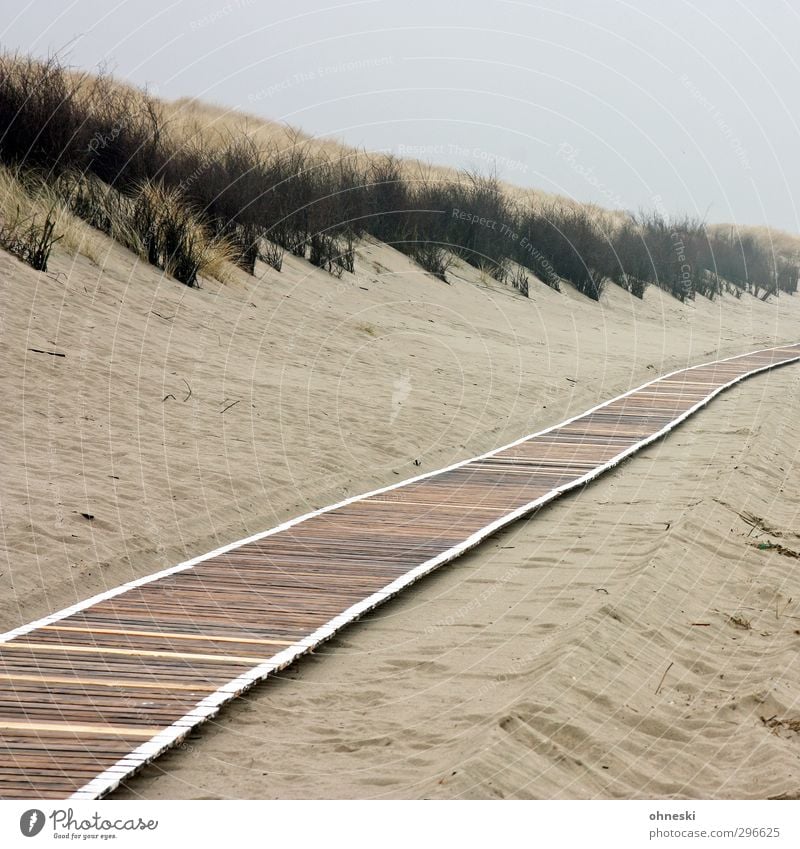 Wege und Pfade Strand Insel Sand schlechtes Wetter Nordsee Düne Dünengras Stranddüne Langeoog Wege & Pfade Holzweg Einsamkeit Farbfoto Gedeckte Farben