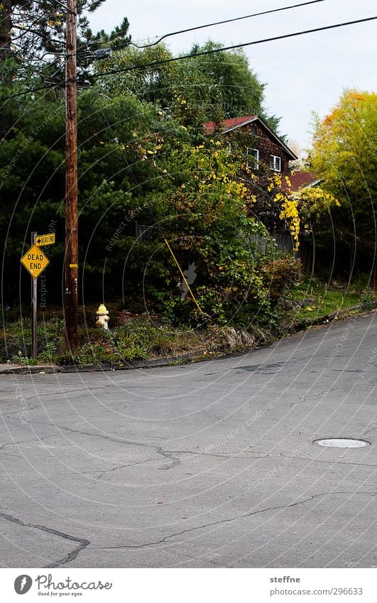 DEAD Eugene Oregon USA Kleinstadt Stadt Stadtrand Einfamilienhaus Straße Straßenkreuzung Verkehrszeichen Verkehrsschild Sackgasse Idylle Asphalt Farbfoto