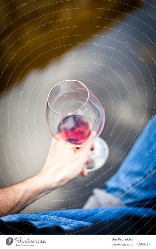 Weinprobe am See Getränk trinken Alkohol Mensch maskulin Erwachsene Hand 1 Umwelt Wasser Frühling Garten Park Teich atmen wählen träumen Gefühle Stimmung Freude