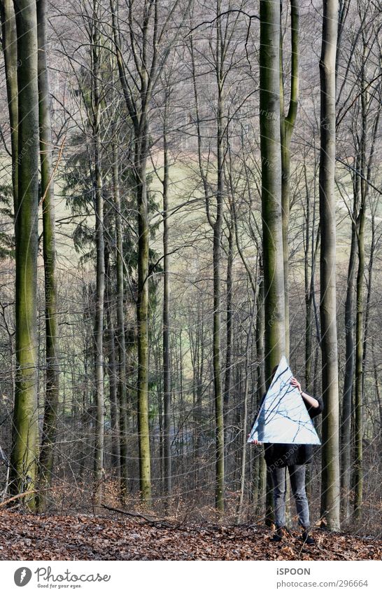 WALD Mensch feminin Junge Frau Jugendliche Körper Arme Hand Beine 1 18-30 Jahre Erwachsene Umwelt Natur Baum Wald leuchten stehen ästhetisch außergewöhnlich