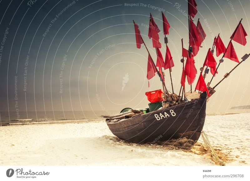 Flaggschiff Zufriedenheit ruhig Ferien & Urlaub & Reisen Ausflug Ferne Freiheit Strand Meer Winter Schnee Ruhestand Natur Landschaft Sand Luft Himmel Horizont