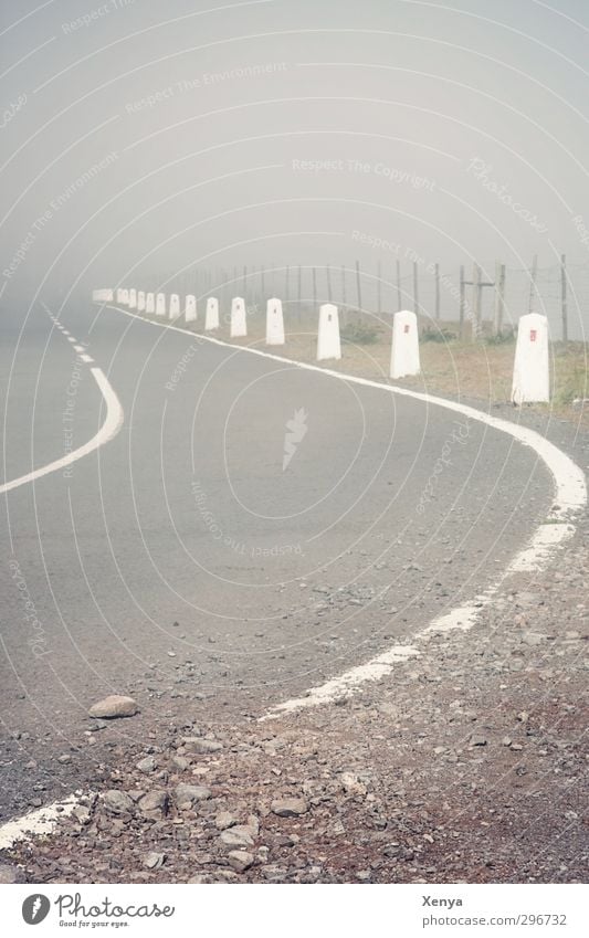 Road To Nowhere Menschenleer Straße alt bedrohlich Unendlichkeit gruselig grau weiß Nebel Markierungslinie Autofahren Fahrbahnmarkierung Asphalt falsch Unfall