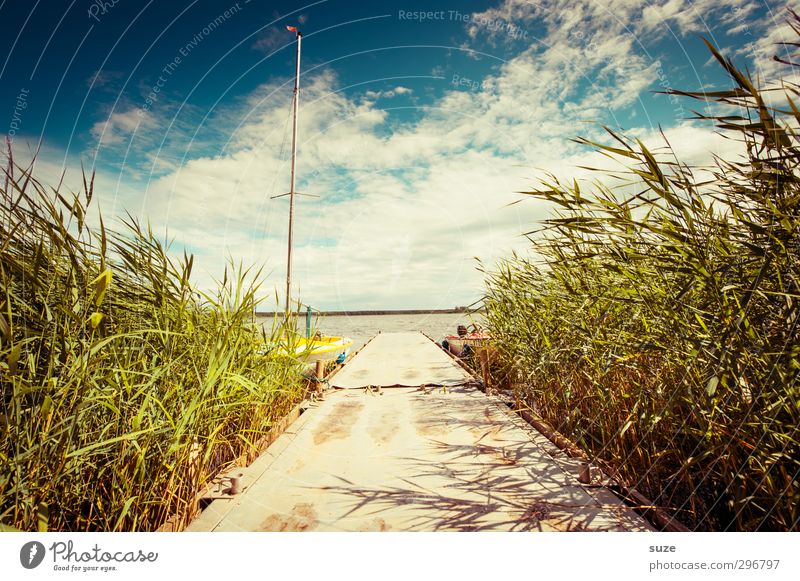 Sommerliches Anliegen Lifestyle Freizeit & Hobby Ferien & Urlaub & Reisen Sommerurlaub Umwelt Natur Landschaft Wasser Himmel Wolken Horizont Schönes Wetter