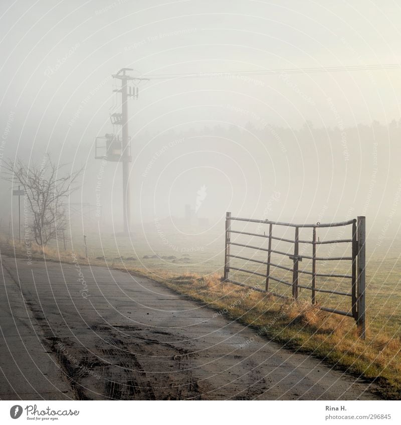 Frühnebel II Natur Landschaft Frühling Nebel Wiese Wege & Pfade natürlich Strommast Pferch Tor Farbfoto Außenaufnahme Textfreiraum links Textfreiraum rechts