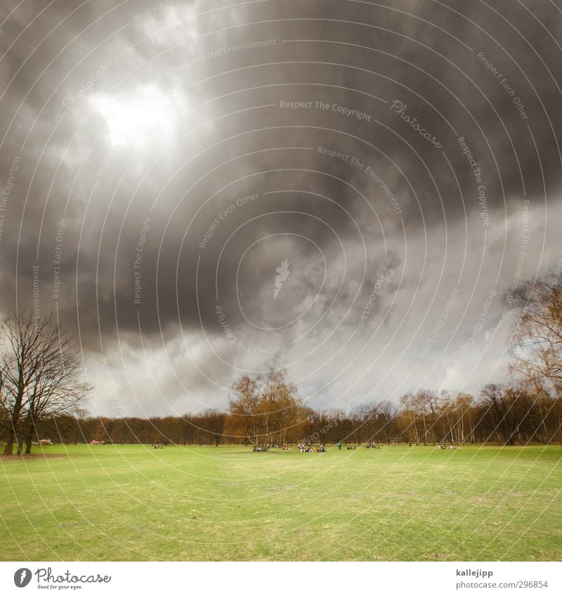 parklücke Mensch Menschengruppe Umwelt Natur Landschaft Wolken Gewitterwolken Frühling Baum Gras Park Wiese bedrohlich grau grün Tiergarten Rasen Farbfoto