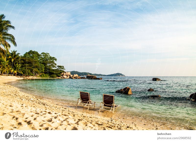 zweisam Ferien & Urlaub & Reisen Tourismus Ausflug Abenteuer Ferne Freiheit Natur Landschaft Himmel Urwald Wellen Küste Strand Bucht Meer Insel Erholung