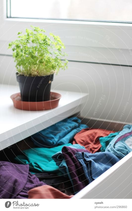 Your closet. Stil Häusliches Leben Wohnung Möbel Raum Erholung leuchten Wachstum eckig Freundlichkeit frisch Gesundheit einzigartig kalt blau grün Idee