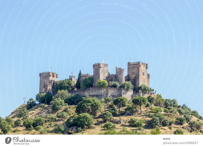 View of the medieval castle Almodovar del Rio Burg oder Schloss Bauwerk Sehenswürdigkeit alt historisch Almodoyar del Rio Andalucia Cordoba Fortress Holiday