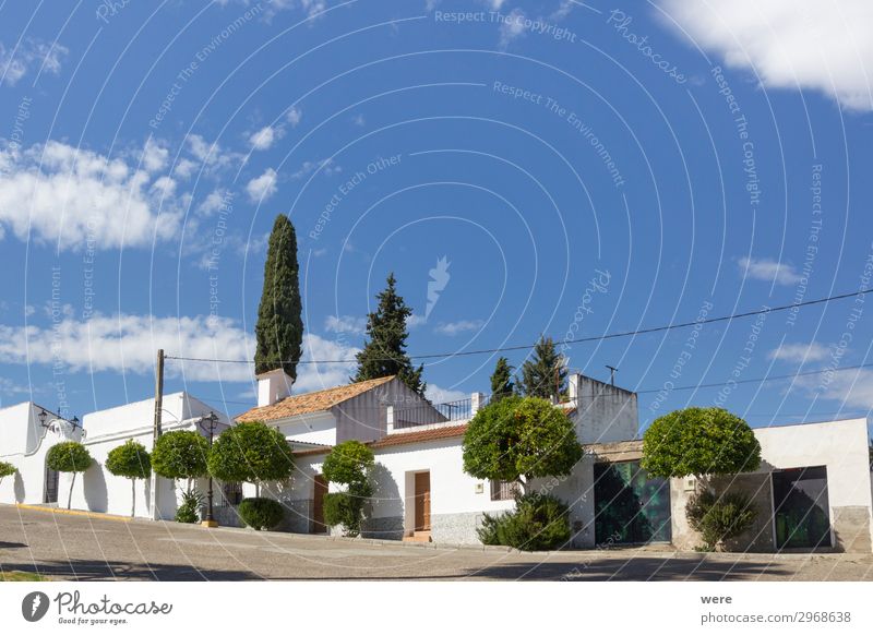 Typical Spanish house with white walls and cypress trees Ferien & Urlaub & Reisen Tourismus Dorf Haus authentisch Originalität blau grün weiß Cordoba Romantic