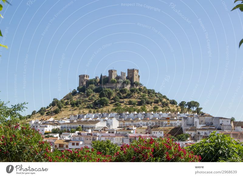 View of the medieval castle Almodovar del Rio Dorf Burg oder Schloss alt historisch Tradition Vergangenheit Almodoyar del Rio Andalucia Cordoba Fortress Holiday